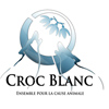 croc blanc