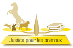 justice pour les animaux