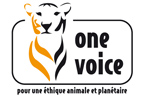 one voice